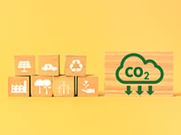 reducingcarbon footprint sm